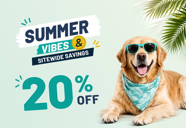 20% OFF - Smmer Sale