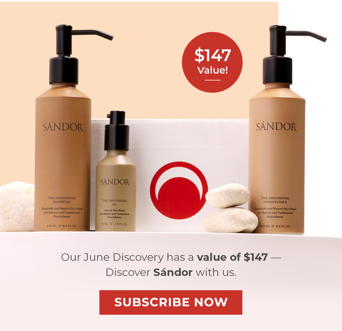 Our June Discovery has a value of $147 — Discover Sándor with us.