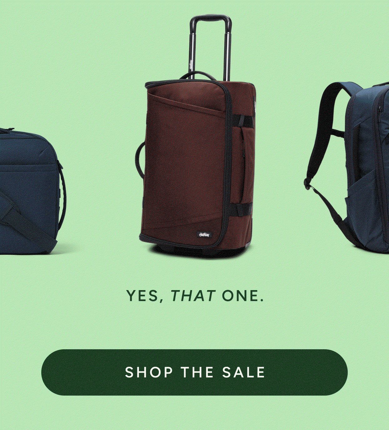 shop the sale