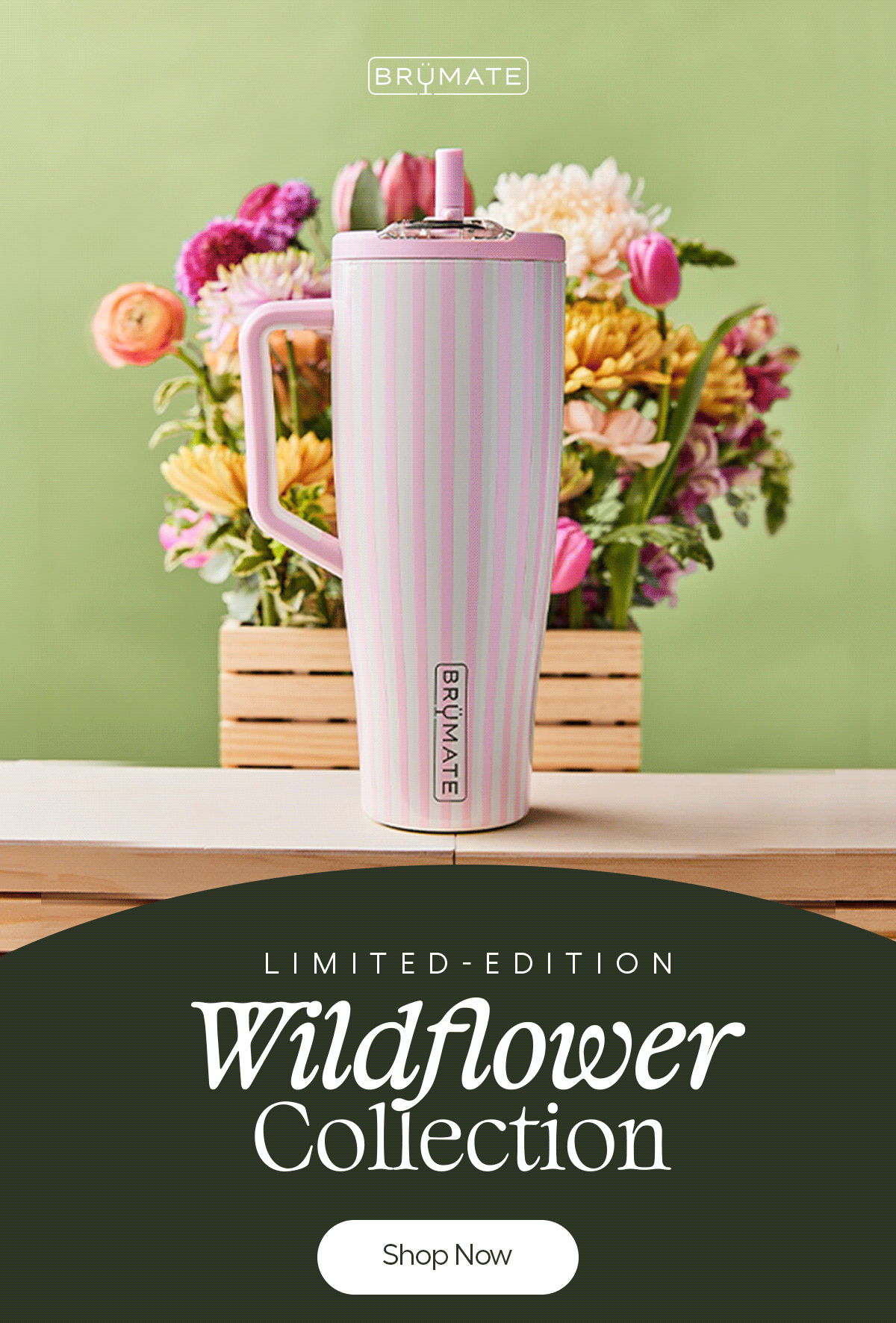 New! Wildflorwer Collection is here!