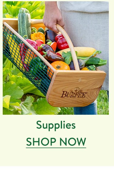 Tools, Totes & Gloves