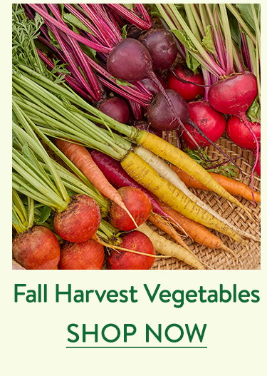 Fall Harvest Vegetable Seeds & Plants
