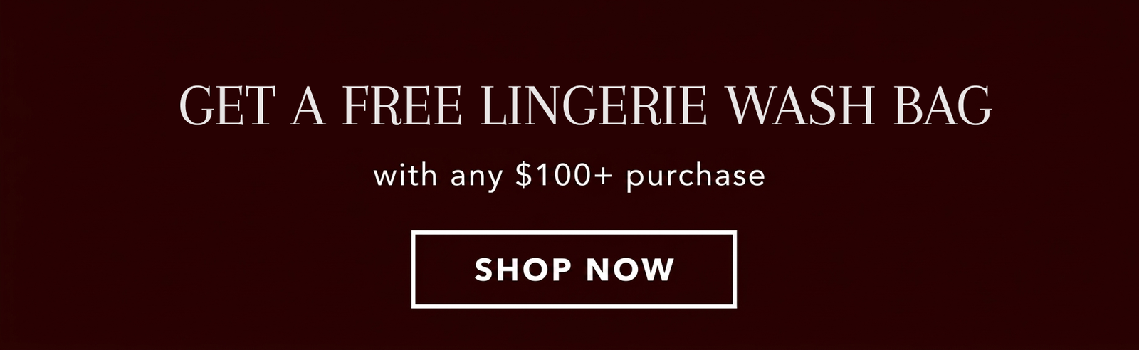 Free Lingerie Washbag With $100+ Purchase [Shop Now]