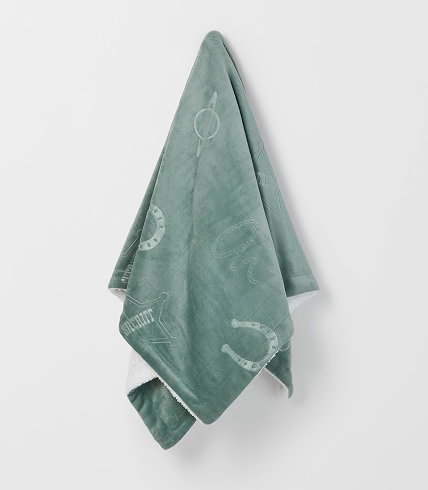 Toy Story sherpa throw $39