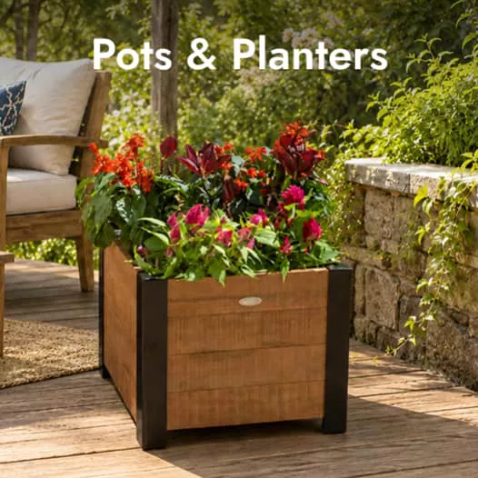 Pots & Planters
