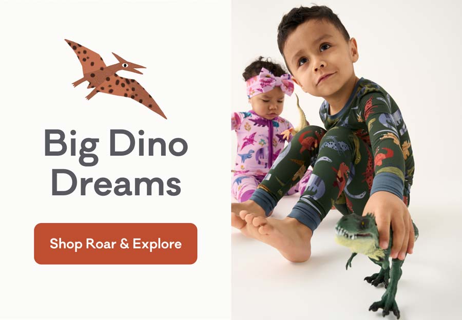 Big Dino Dreams | Shop Roar & Explore