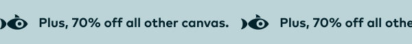 Plus, 70% off all other canvas.