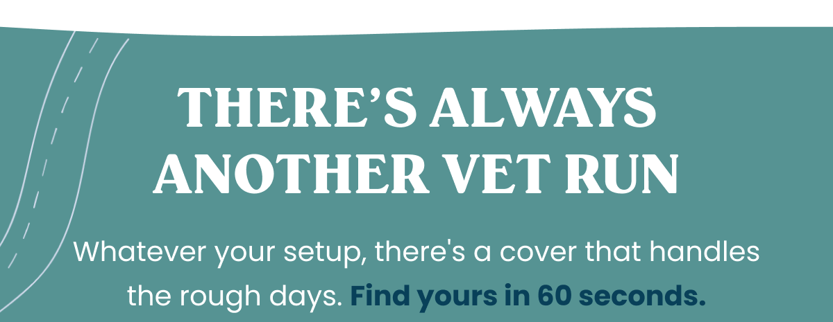 THERE'S ALWAYS ANOTHER VET RUN