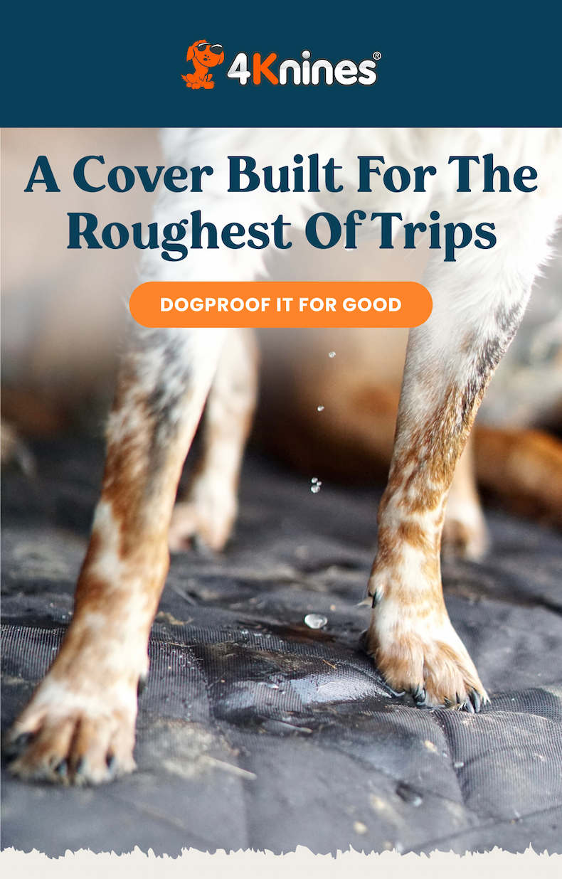DOGPROOF IT FOR GOOD