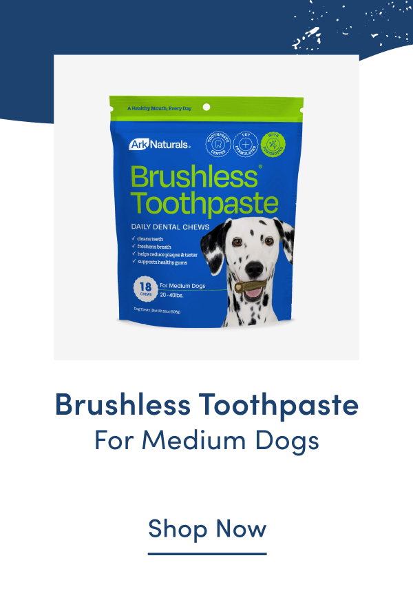 Shop Brushless Toothpaste