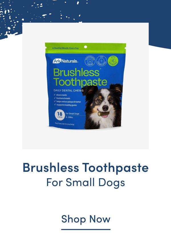 Shop Brushless Toothpaste