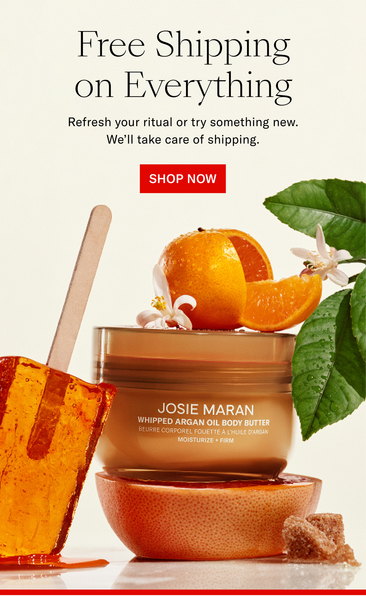 Free Shipping on Everything