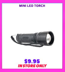 Mini LED Torch
