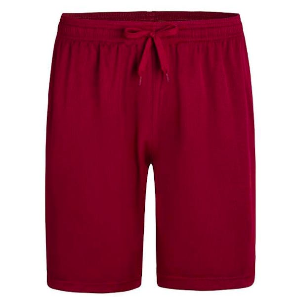 Micro Mesh Athletic Shorts - Wine, Medium