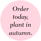 Order today, plant in autumn.