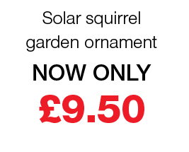 solar squirrel garden ornament now only £9.50