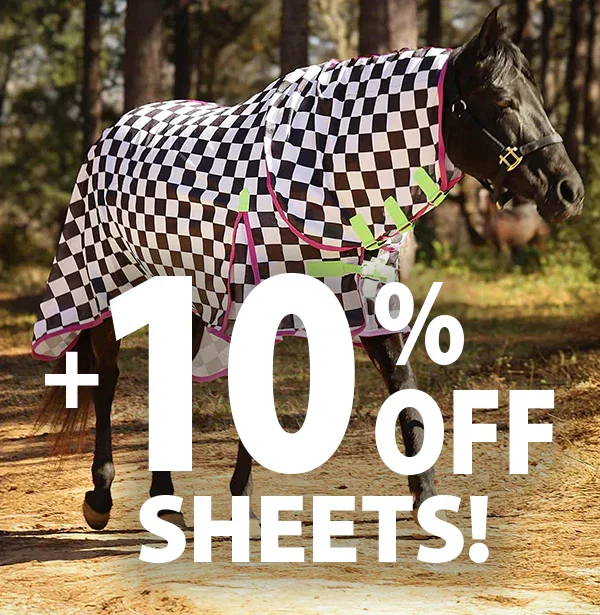 Fly Sheets at 10% OFF