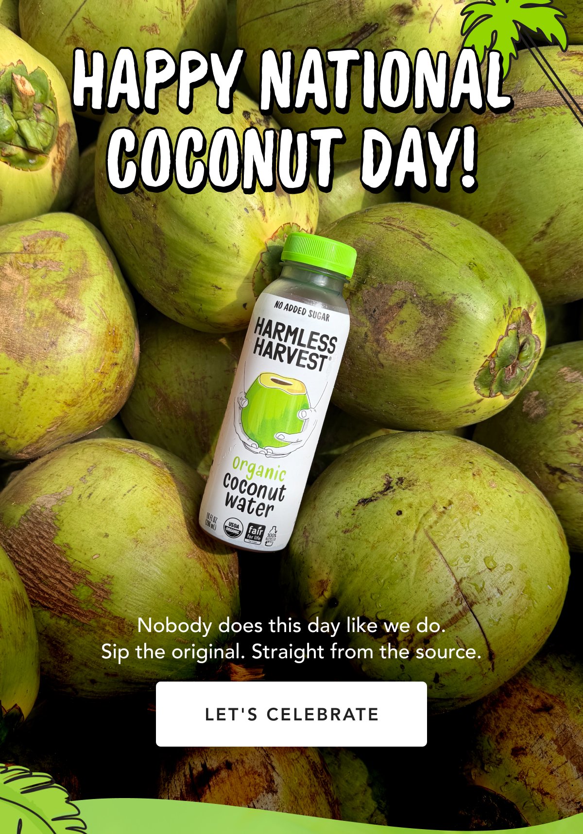 Happy National Coconut Day! Nobody does this day like we do. Sip the original. Straight from the source. | Let's Celebrate