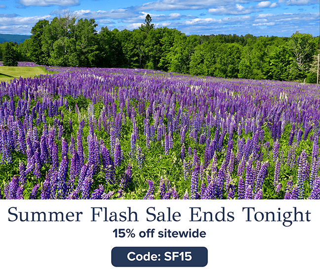 Last Chance: 15% off Sitewide