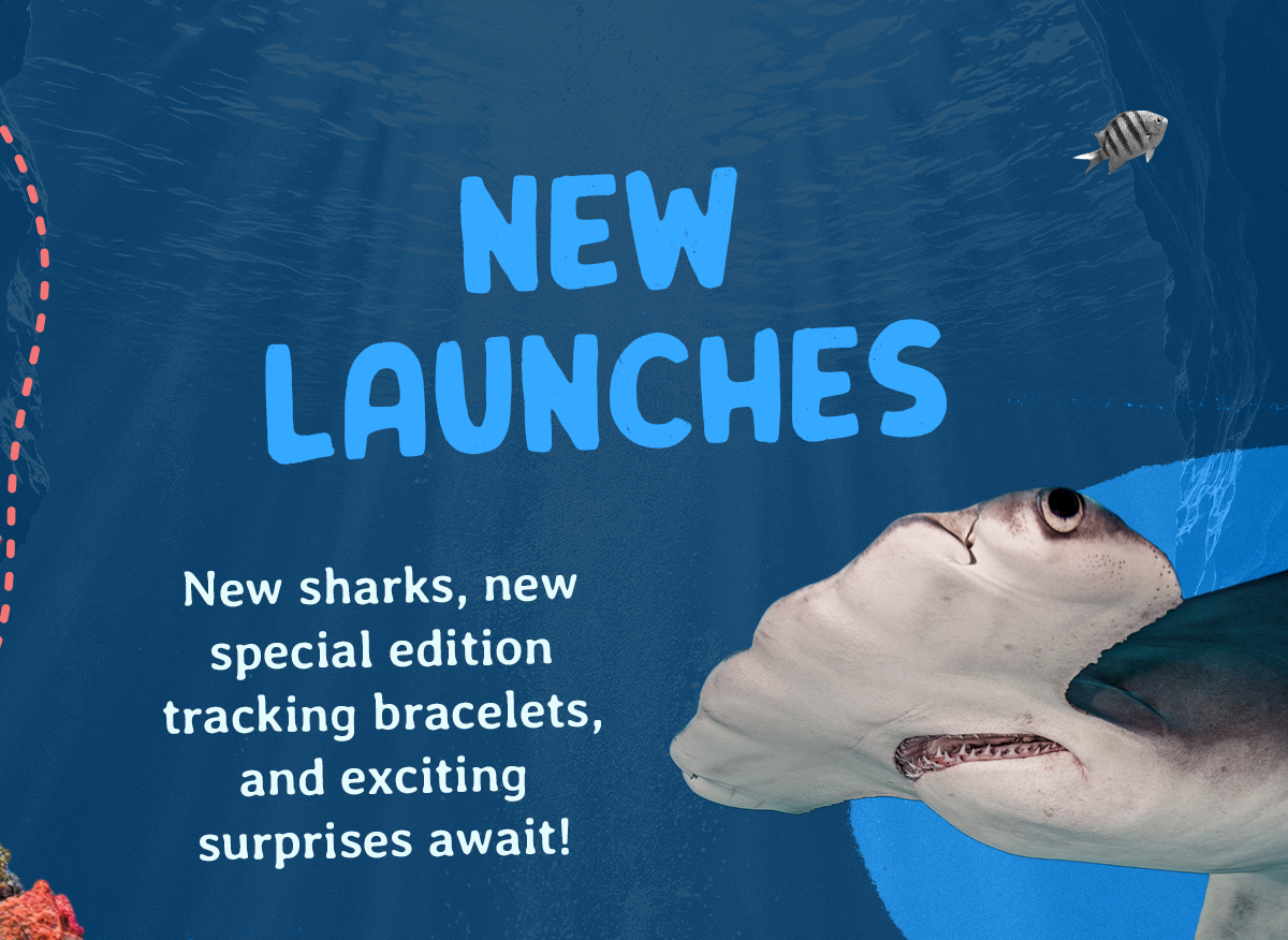Tigers are leaving the site. Get your tiger tracking bracelet now! Only at Fahlo.