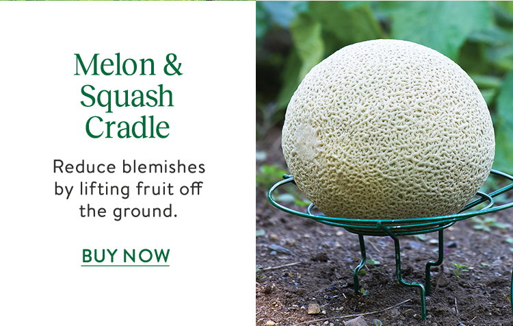 Melon and Squash Cradle