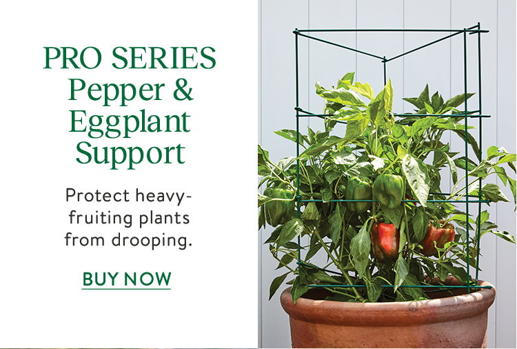 Pro Series Pepper/Eggplant Support