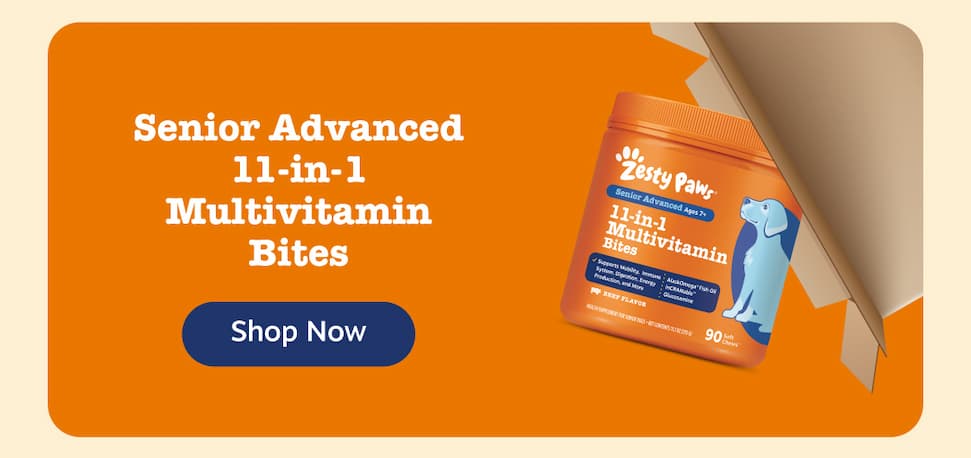 Senior Advanced 11-in-1 Multivitamin Bites: Shop Now