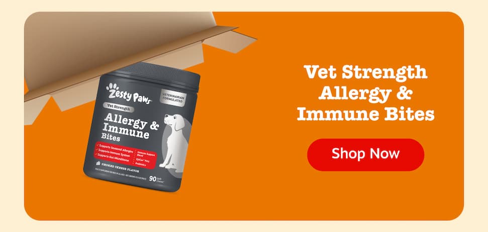 Vet Strength Allergy & Immune Bites: Shop Now