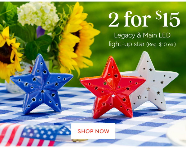 Americana LED Stars Special Price 2 for $15