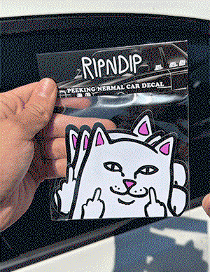 car accessories