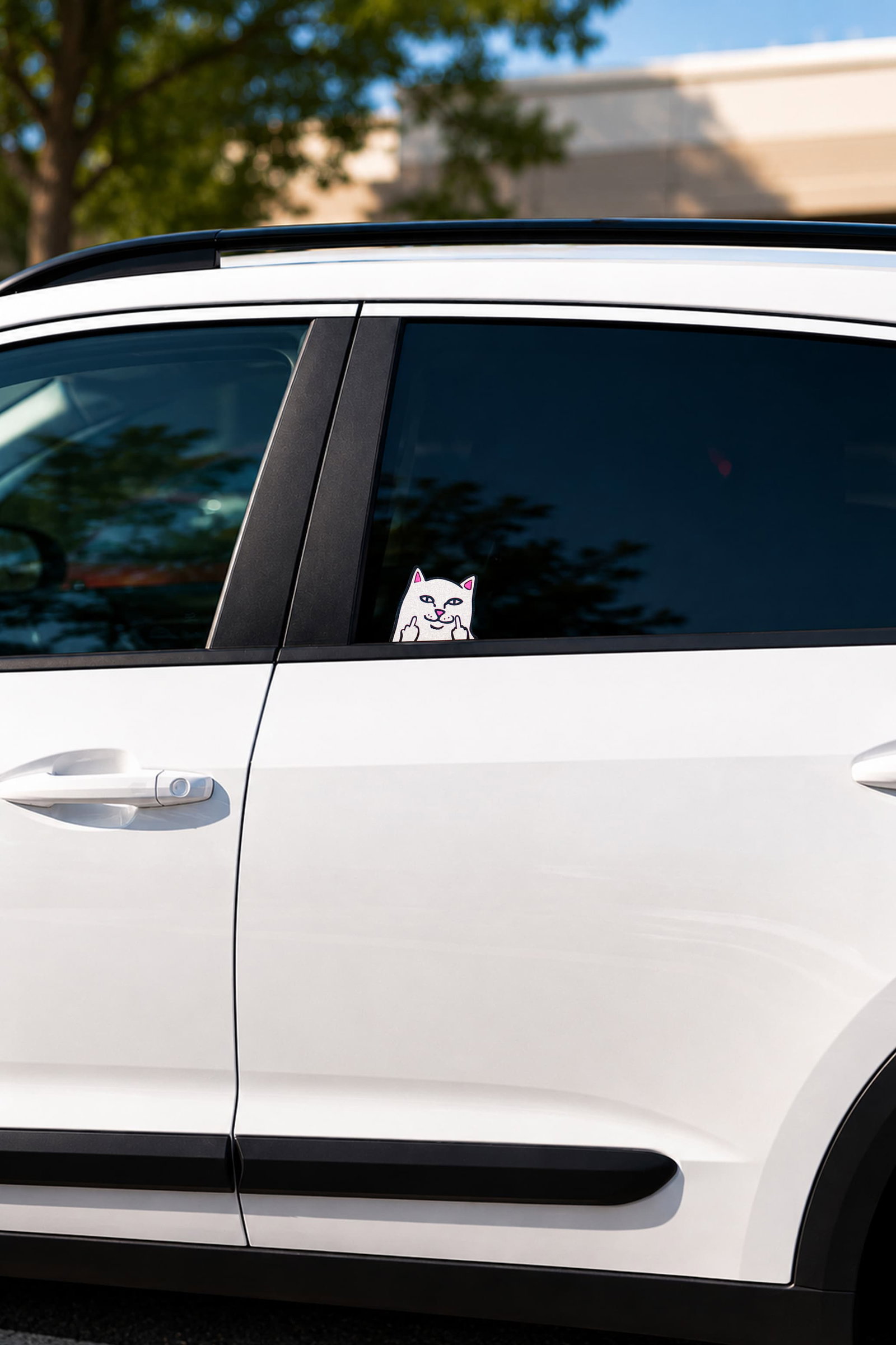 car accessories