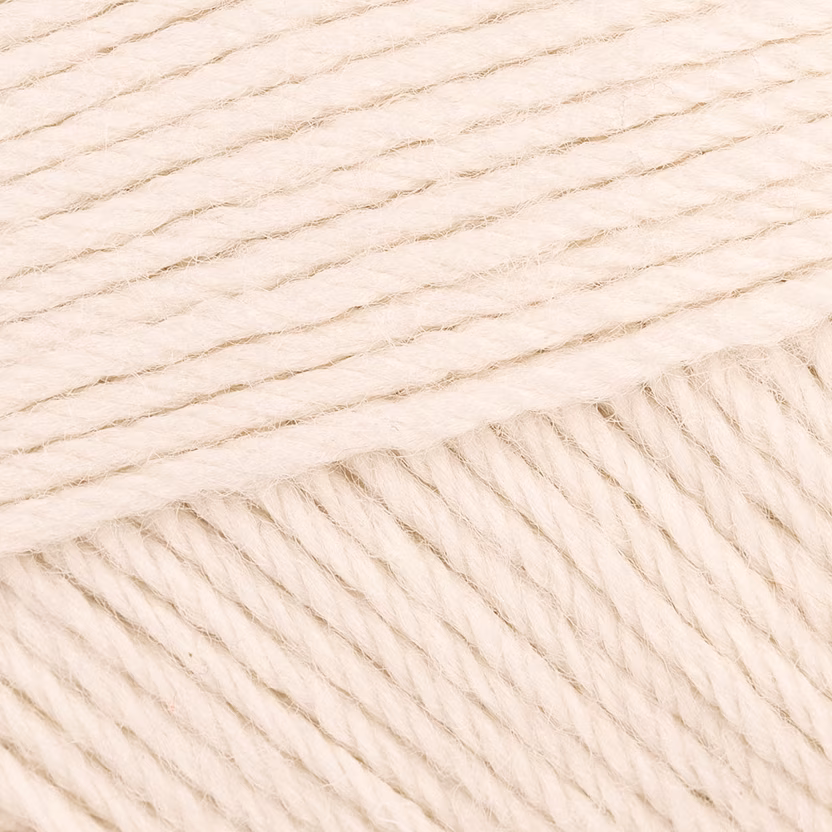 Lion Brand Basic Stitch Anti Microbial
