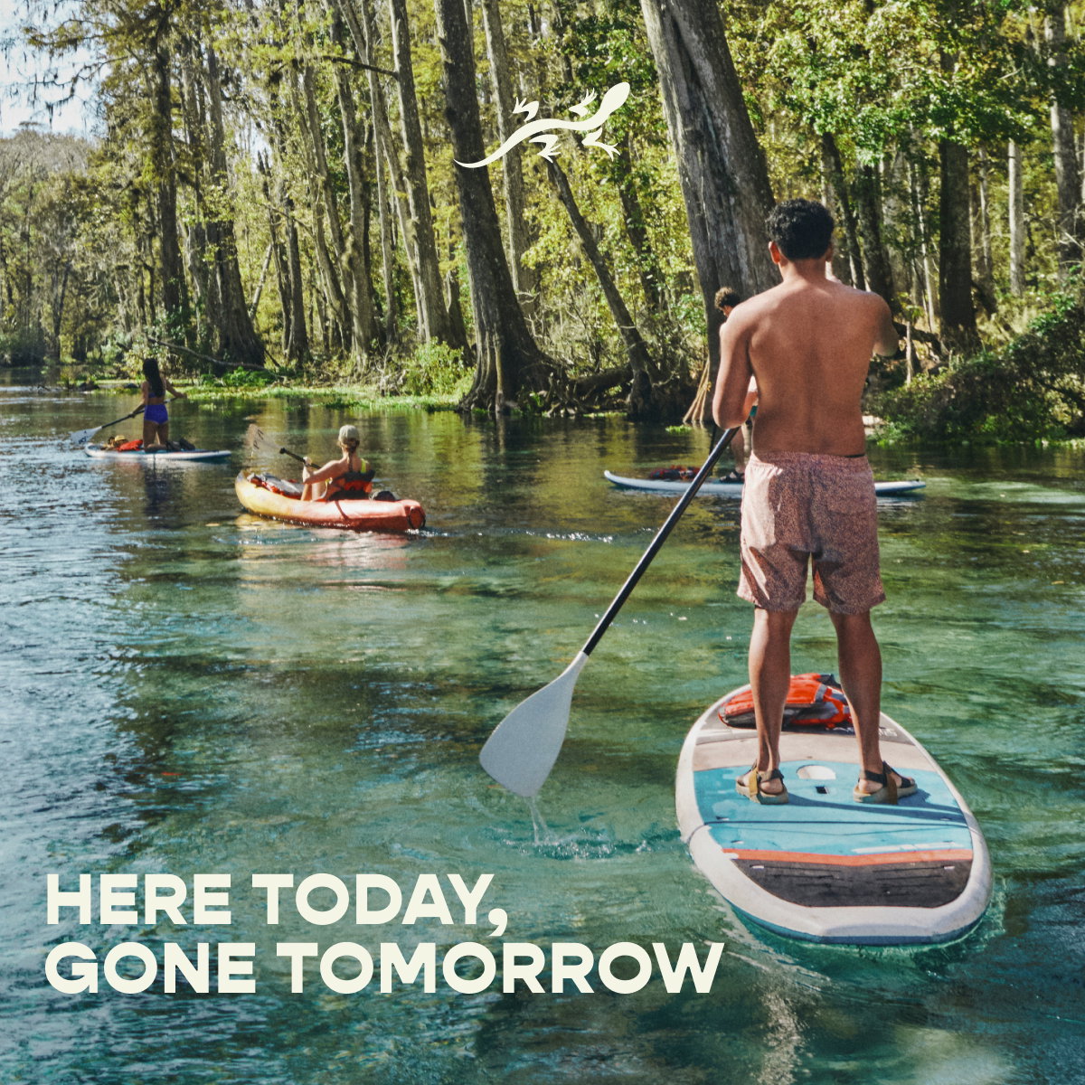 Here today, gone tomorrow