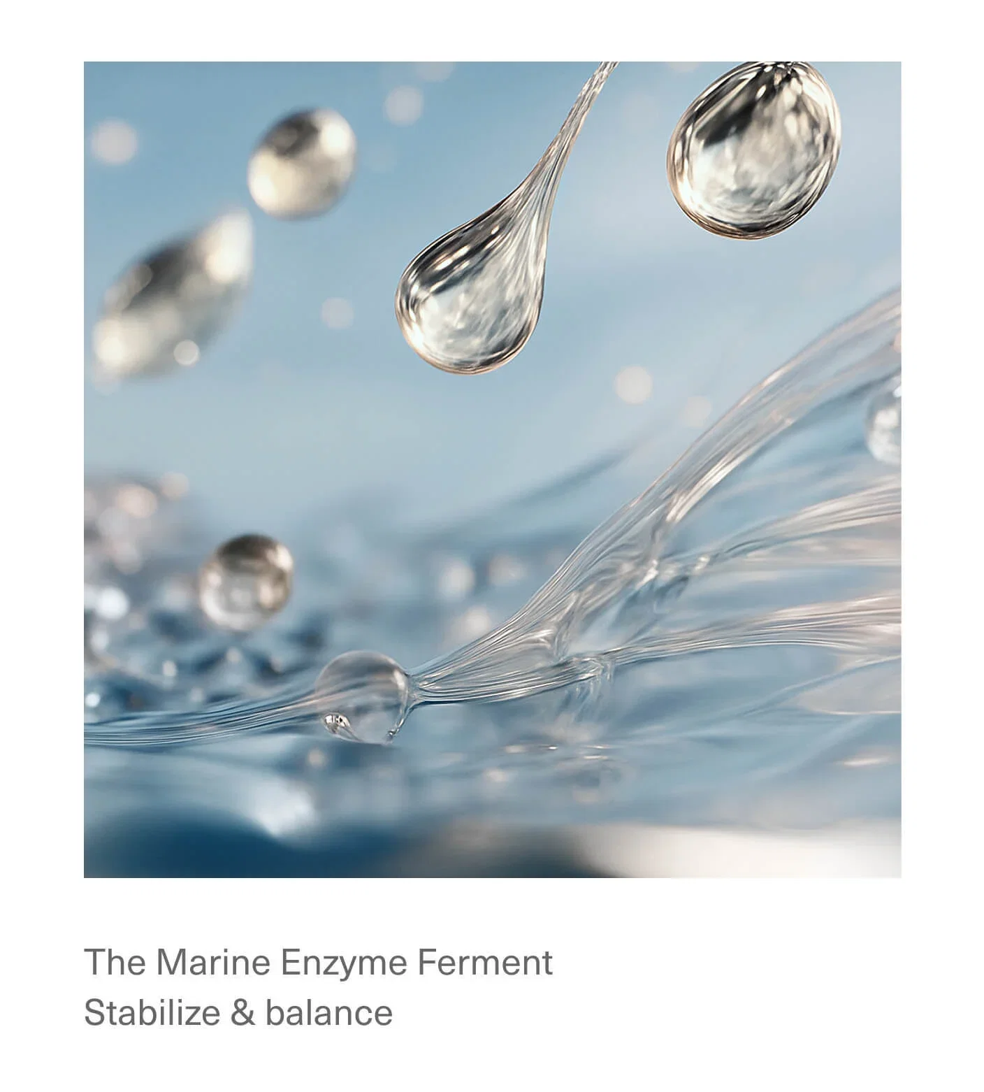 The Marine Enzyme Ferment Stabilize & balance