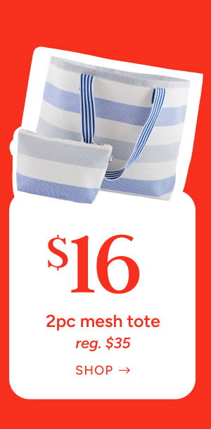 2pc Striped Mesh Tote Special Price $16