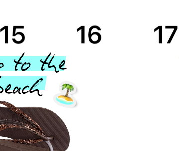 Havaianas Image