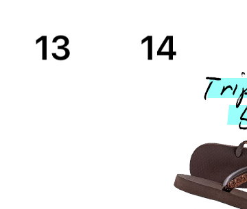 Havaianas Image
