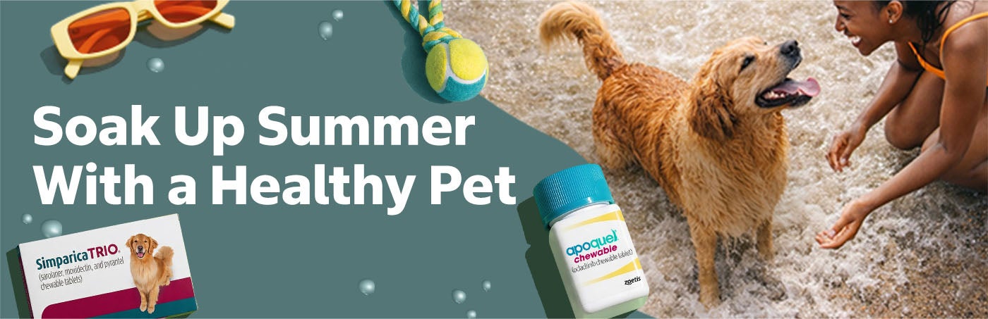 Simparica Trio - Soak Up Summer with a Healthy Pet