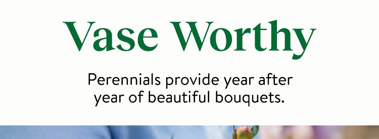 Fall Perennial Plants