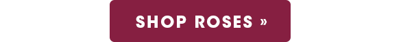 Shop Roses