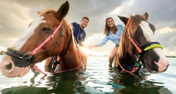 90-Minute Horseback Cruise Ride in Palma Sola Bay