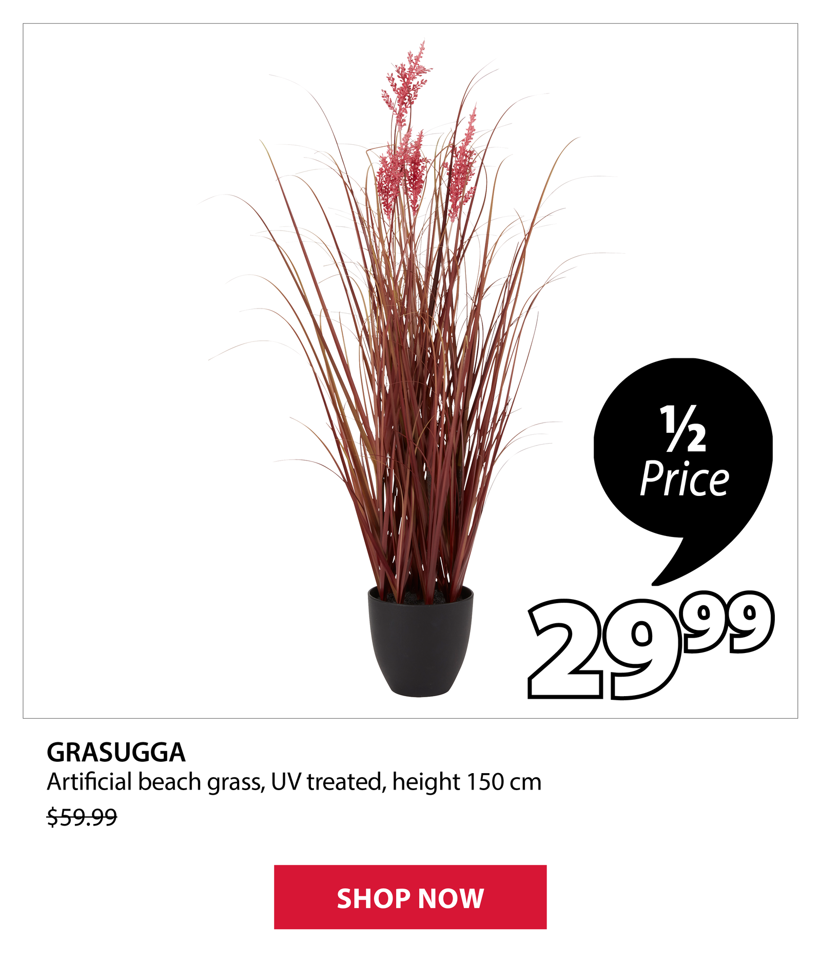 GRASUGGA  Artificial beach grass | 1/2 Price