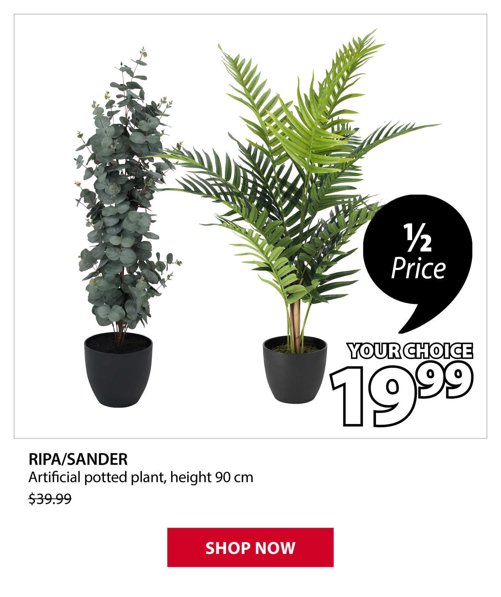 RIPA/SANDER Artificial potted plant | 1/2 Price