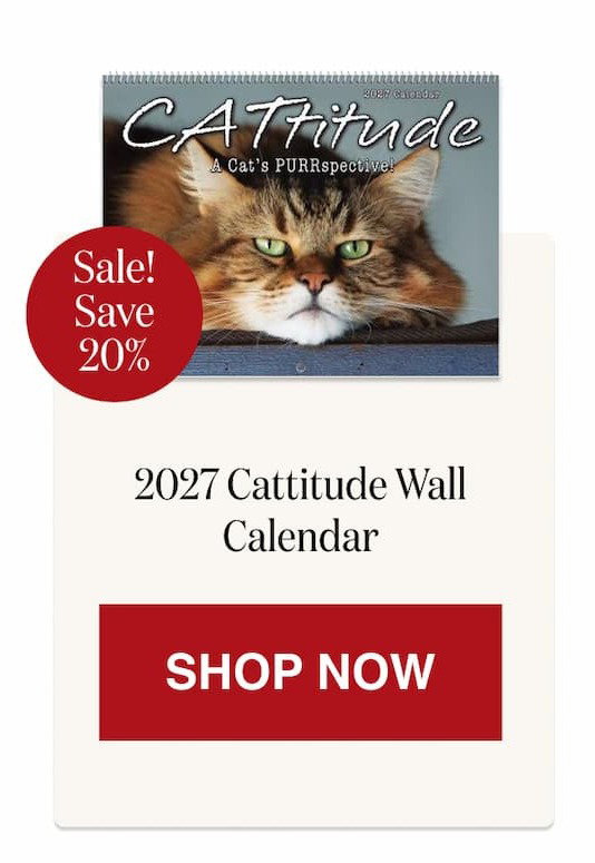 2027 Cattitude Wall Calendar [Click here to Shop Now]