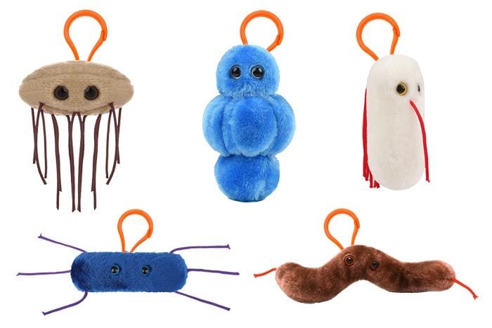 Gut Check pack mini key chains