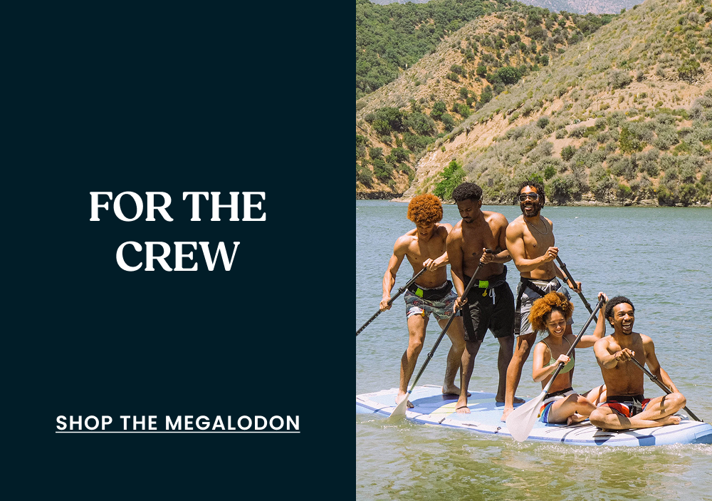 Shop The Megalodon