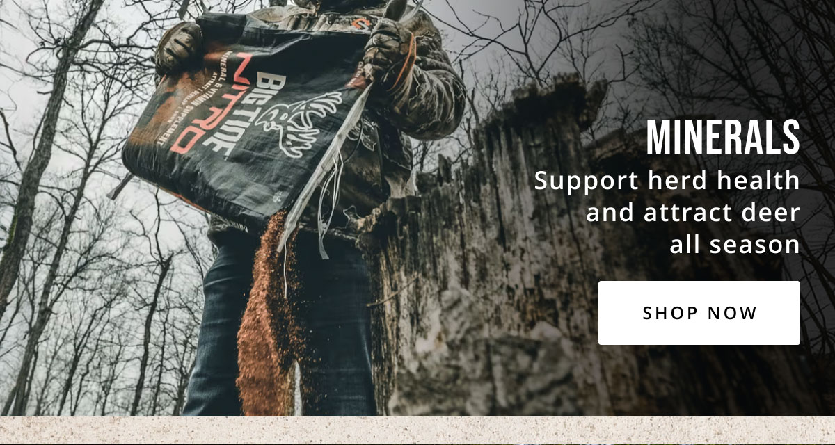 Season Ahead: Trail cameras. feeders, minerals 