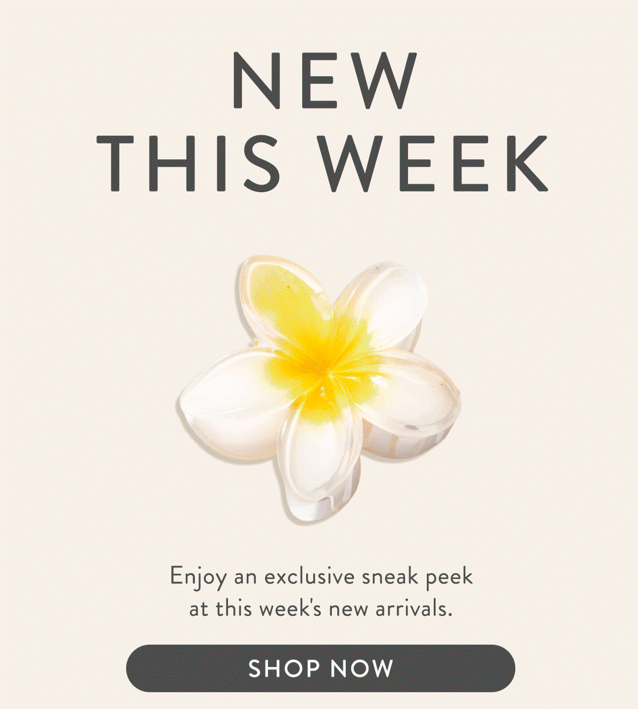 Shop what's new: 
