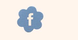 Three Bird Nest Facebook