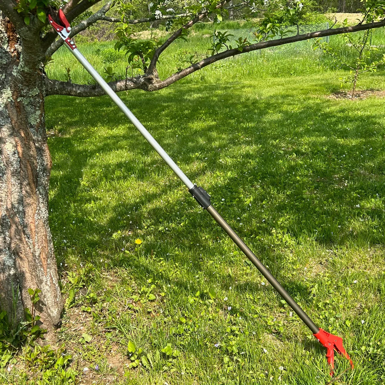 Image of Long Reach Pruner (Extends to 5 Feet)